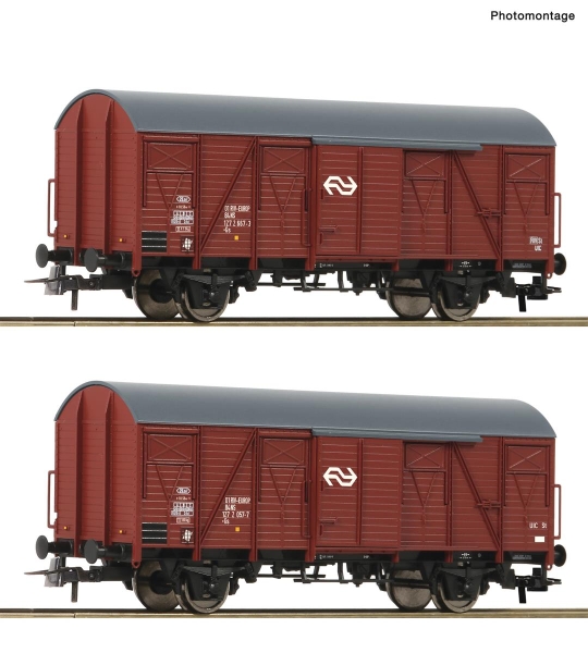 Roco 6600151 H0 2-teiliger Set: Gedeckte Güterwagen NS